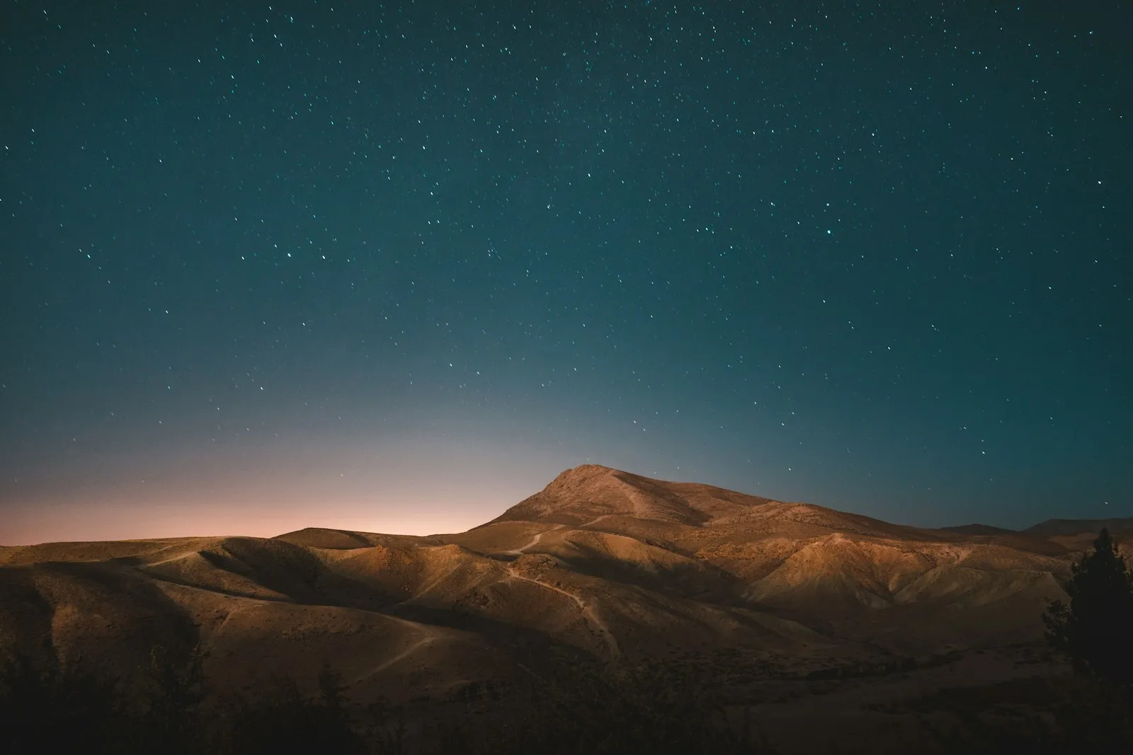 Imagen: Why a Frozen Text Encoder Beats a Bigger Image Model