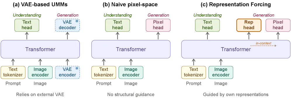 Representation Forcing:扔掉 VAE 的统一多模态模型