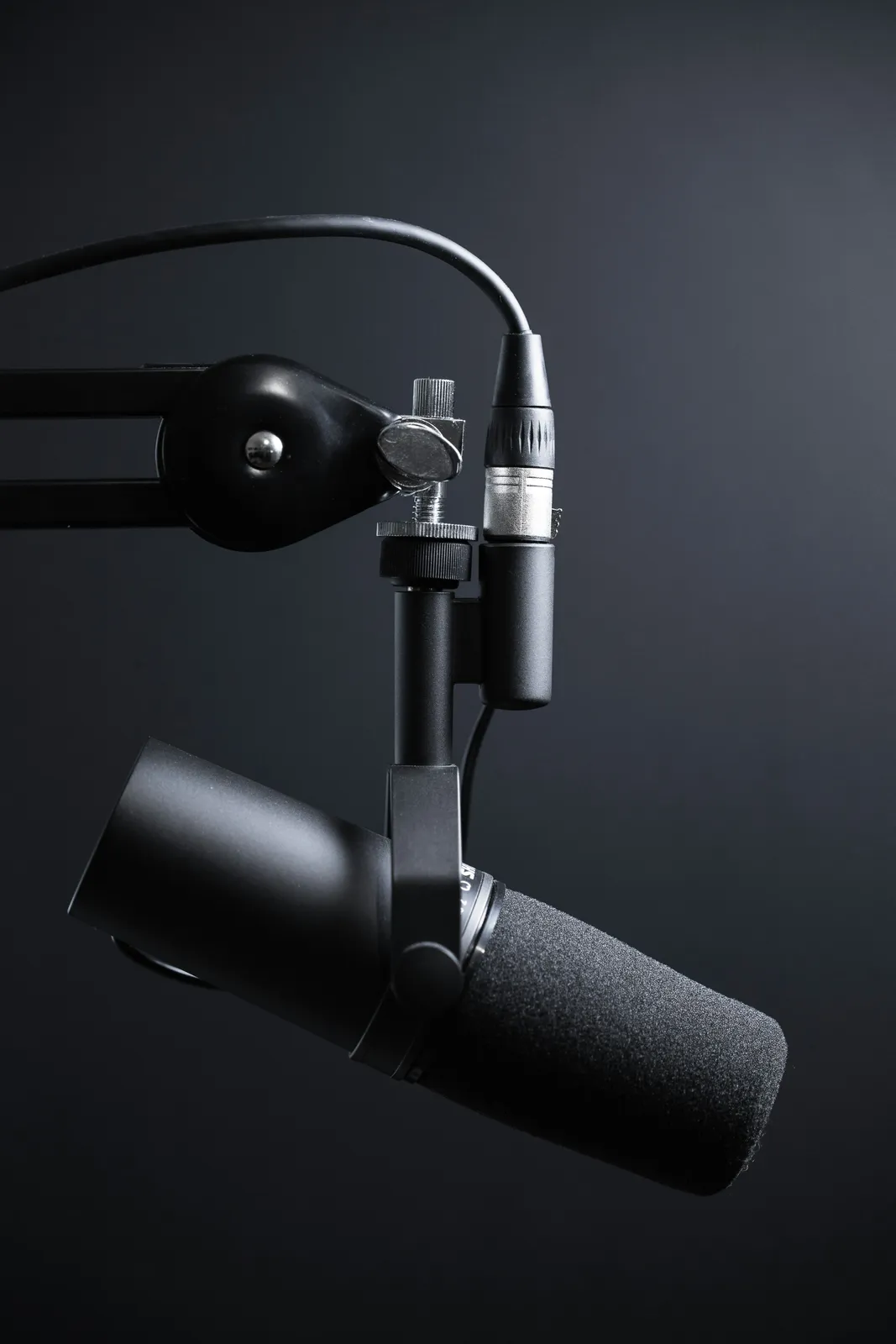 SwanVoice: Zero-Shot Speech Synthesis for Long Monologue and Dialogue